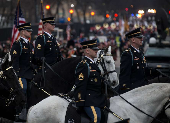 Армия США сократит количество лошадей