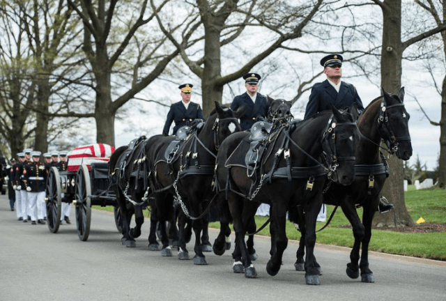 Армия США лошади