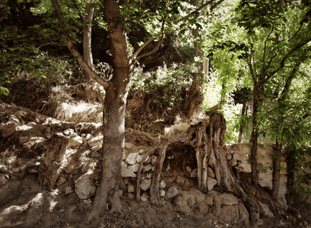 холм Ван Гога