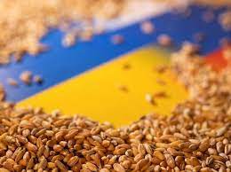 Россия согласилась продлить зерновую сделку из-за Турции