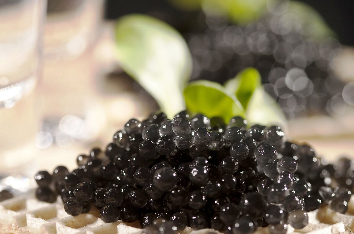 В России ожидается рост цен на черную икру. Причина в уходе европейских компаний