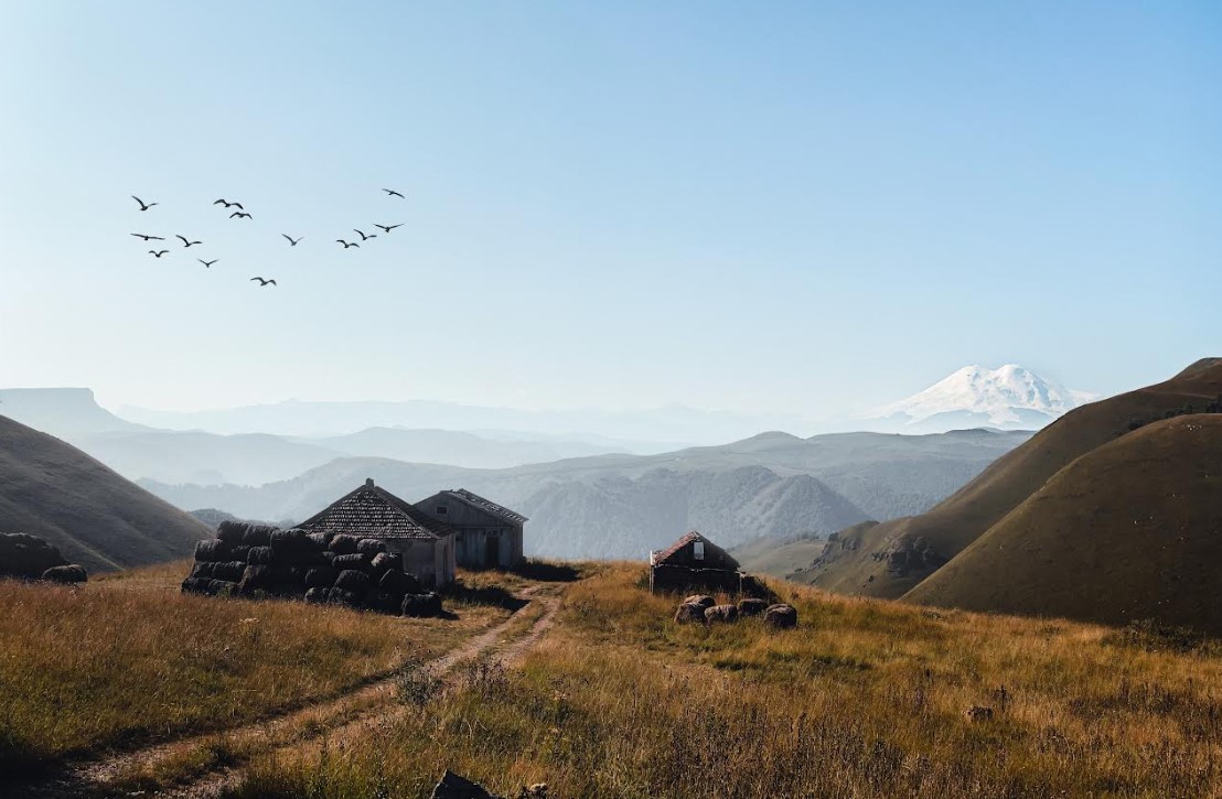 Край садов и пастбищ. Как развивается агропромышленный комплекс Кабардино-Балкарской Республики