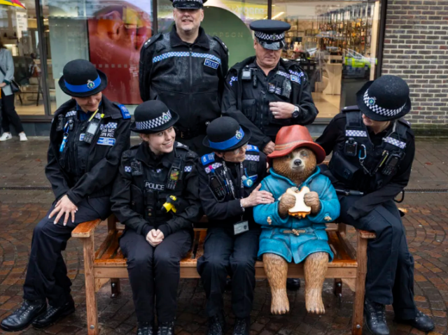  Паддингтона вернули на место