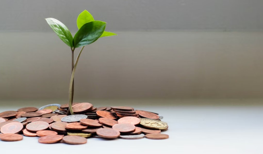 Совет по привлечению инвестиций в Приморье одобрил четыре новых проекта. Как это повлияет на экономику региона?