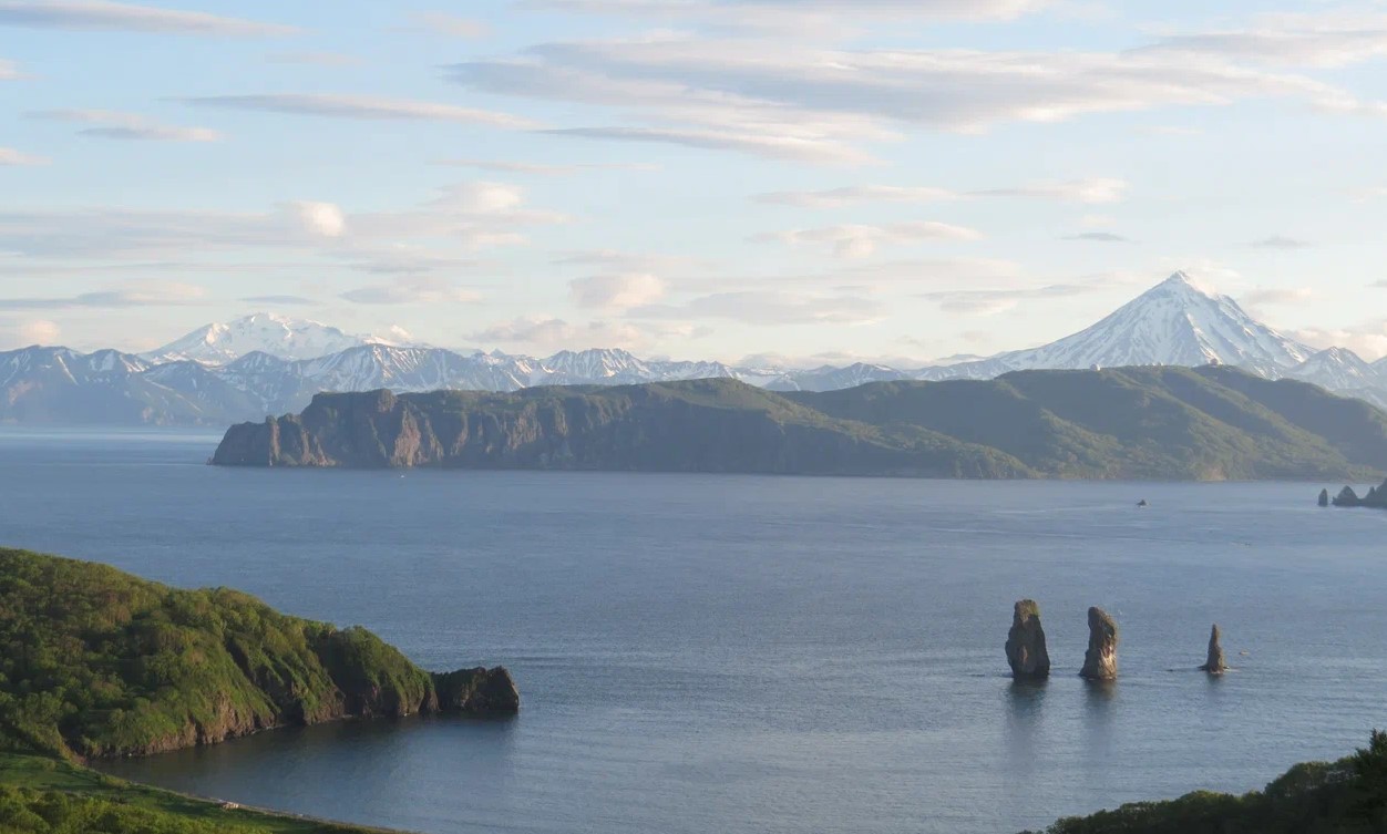 От юннатов к homo ecologicus. На Камчатке обсудили цели экопросвещения