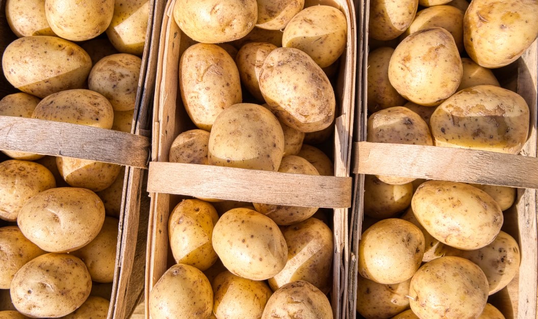 Власти Приморья борются с дефицитом овощей и картофеля после наводнения