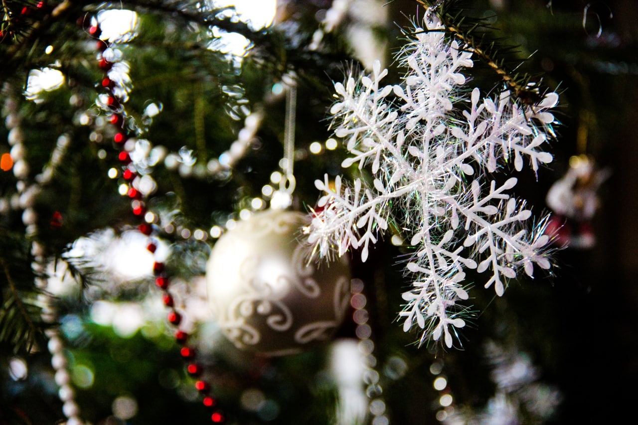 ОТ ЗАПОЛЯРЬЯ ДО КАВКАЗА: самые популярные направления для новогодних путешествий в России