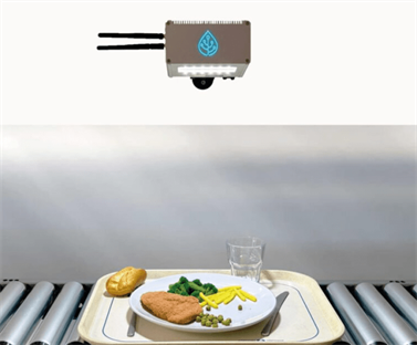 Искусственный интеллект и экология