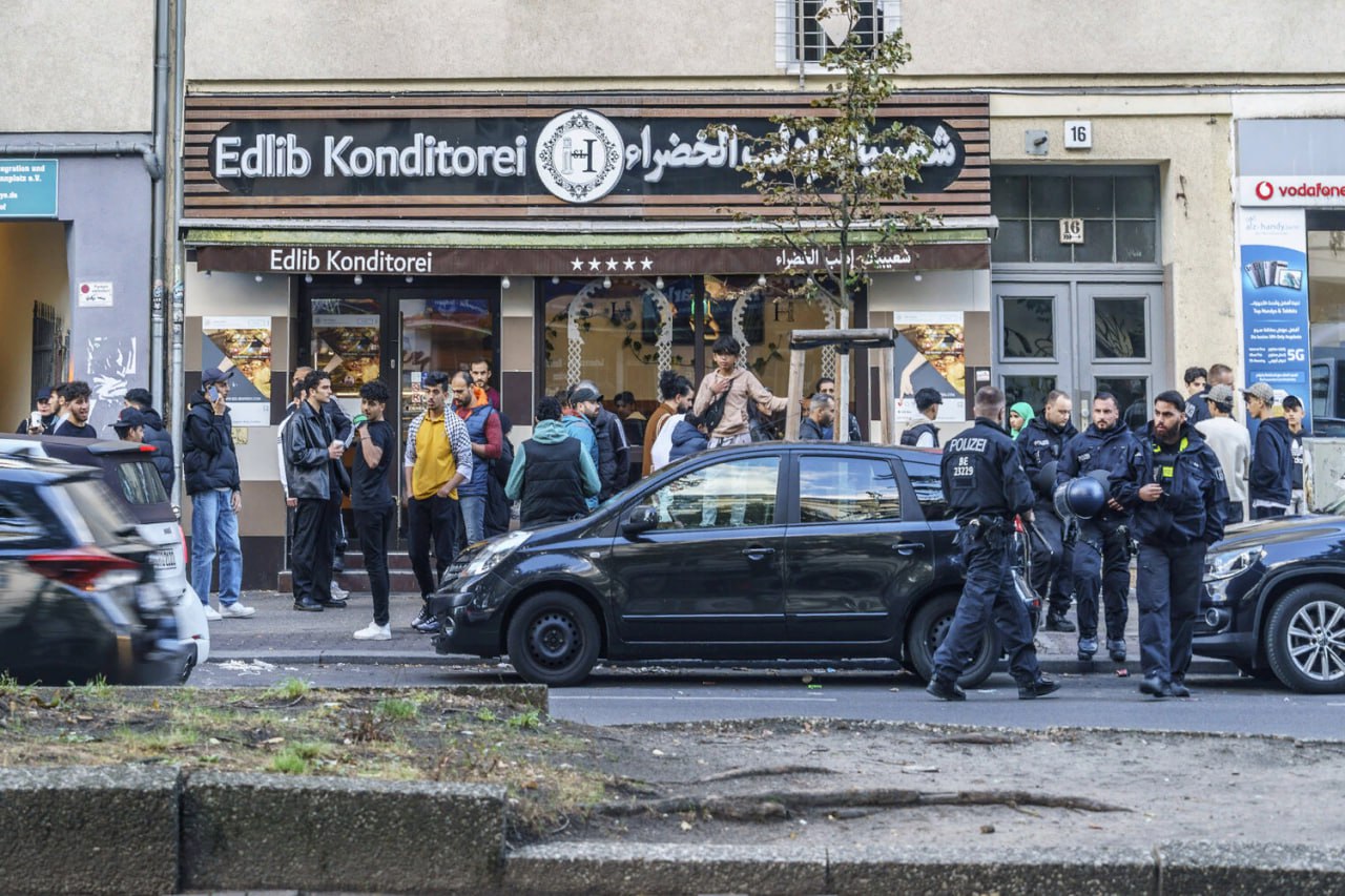 Население Германии против приема беженцев из исламских стран. Результаты опроса