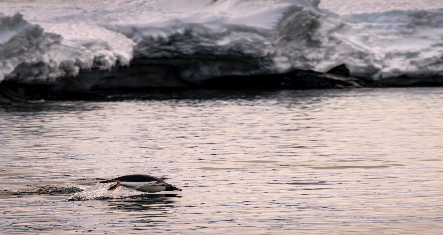 Открылась Конференция ООН по океану 2025