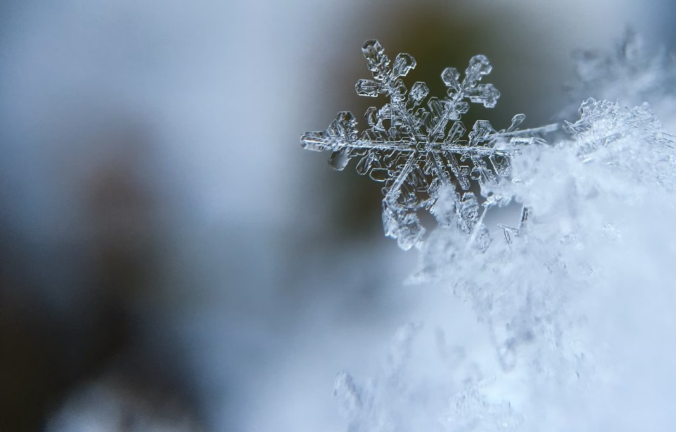 Подмосковье готово к зиме: парк снегоуборочной техники увеличен на 42%