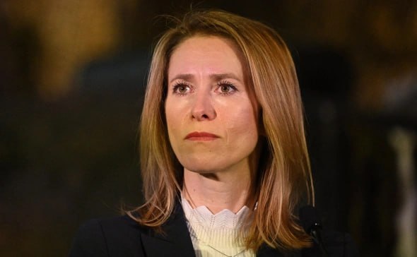 Глава правительства Эстонии хочет стать генсеком НАТО