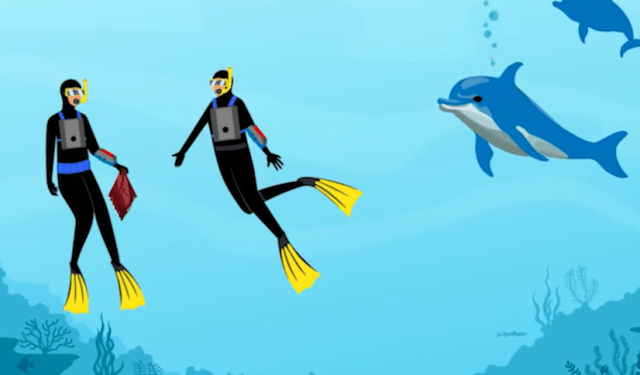 звуки дельфинов исследования